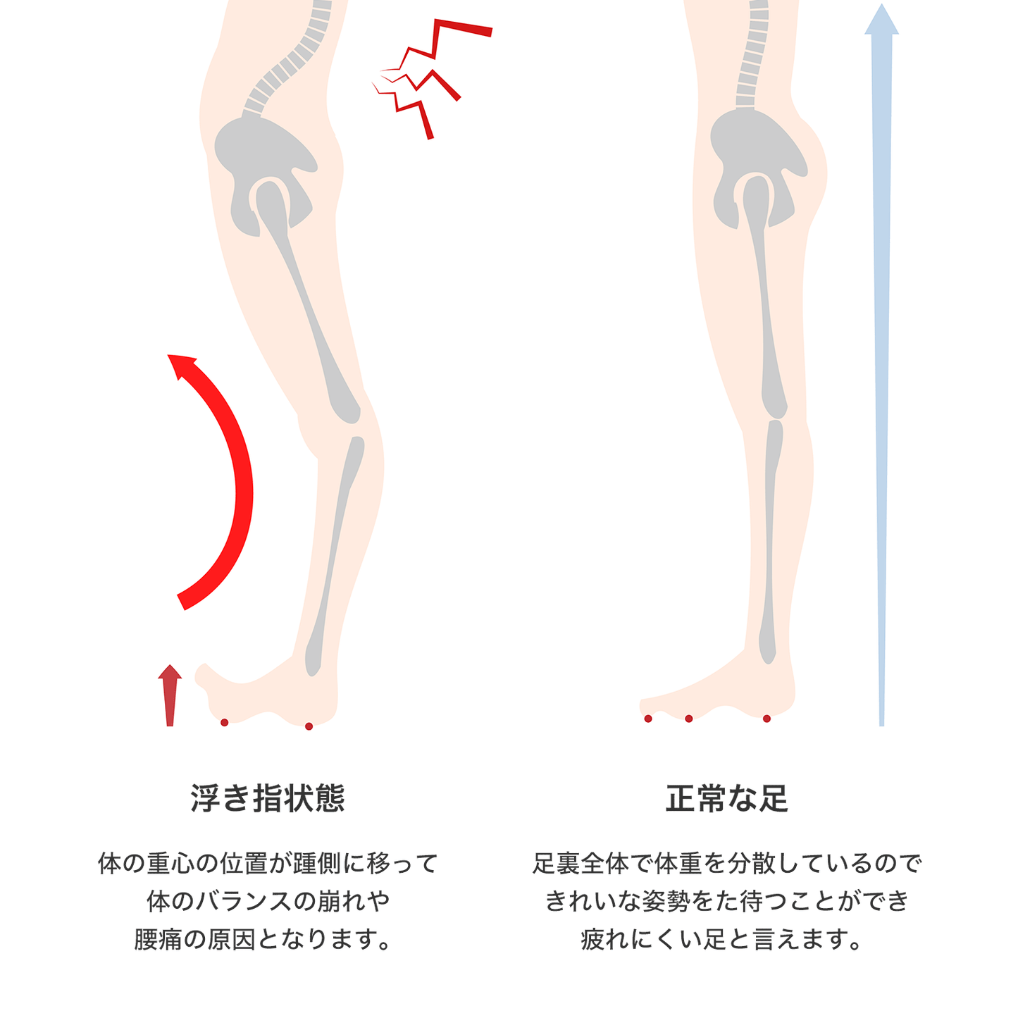 ALUKDESIGN アルクデザイン プレミアムインソール ALUK4.8 2個セット